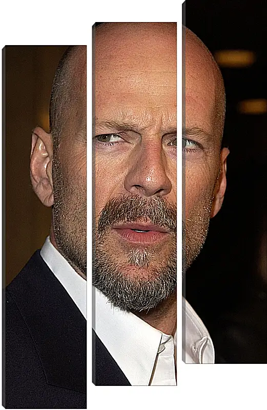 Модульная картина - Брюс Уиллис. Bruce Willis