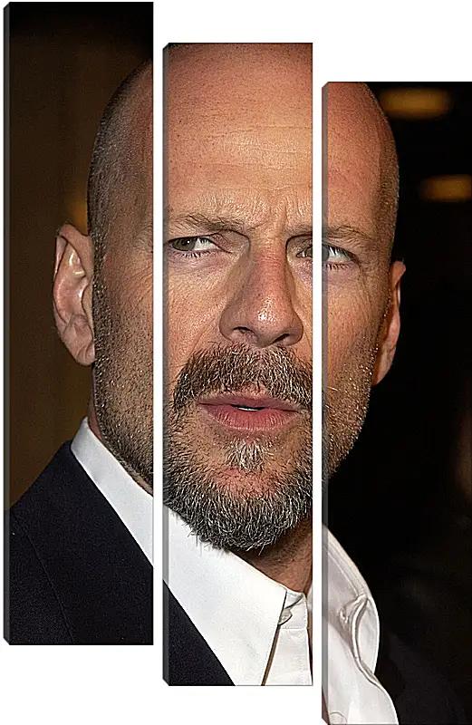 Модульная картина - Брюс Уиллис. Bruce Willis