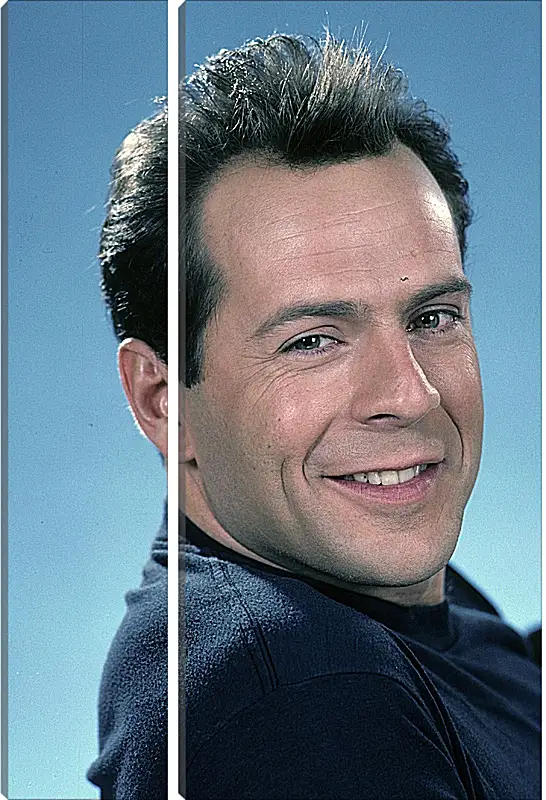 Модульная картина - Брюс Уиллис. Bruce Willis