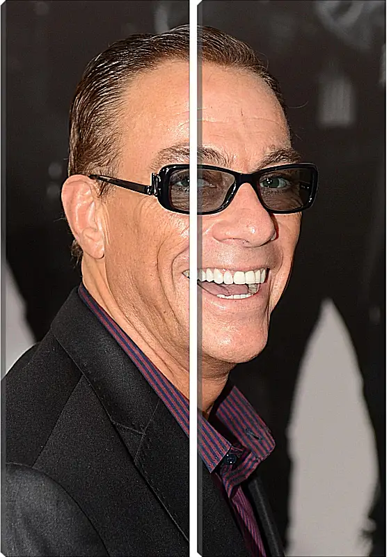 Модульная картина - Жан-Клод Ван Дамм. Jean-Claude Van Damme