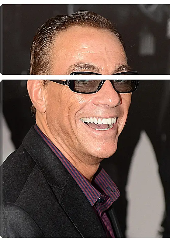 Модульная картина - Жан-Клод Ван Дамм. Jean-Claude Van Damme