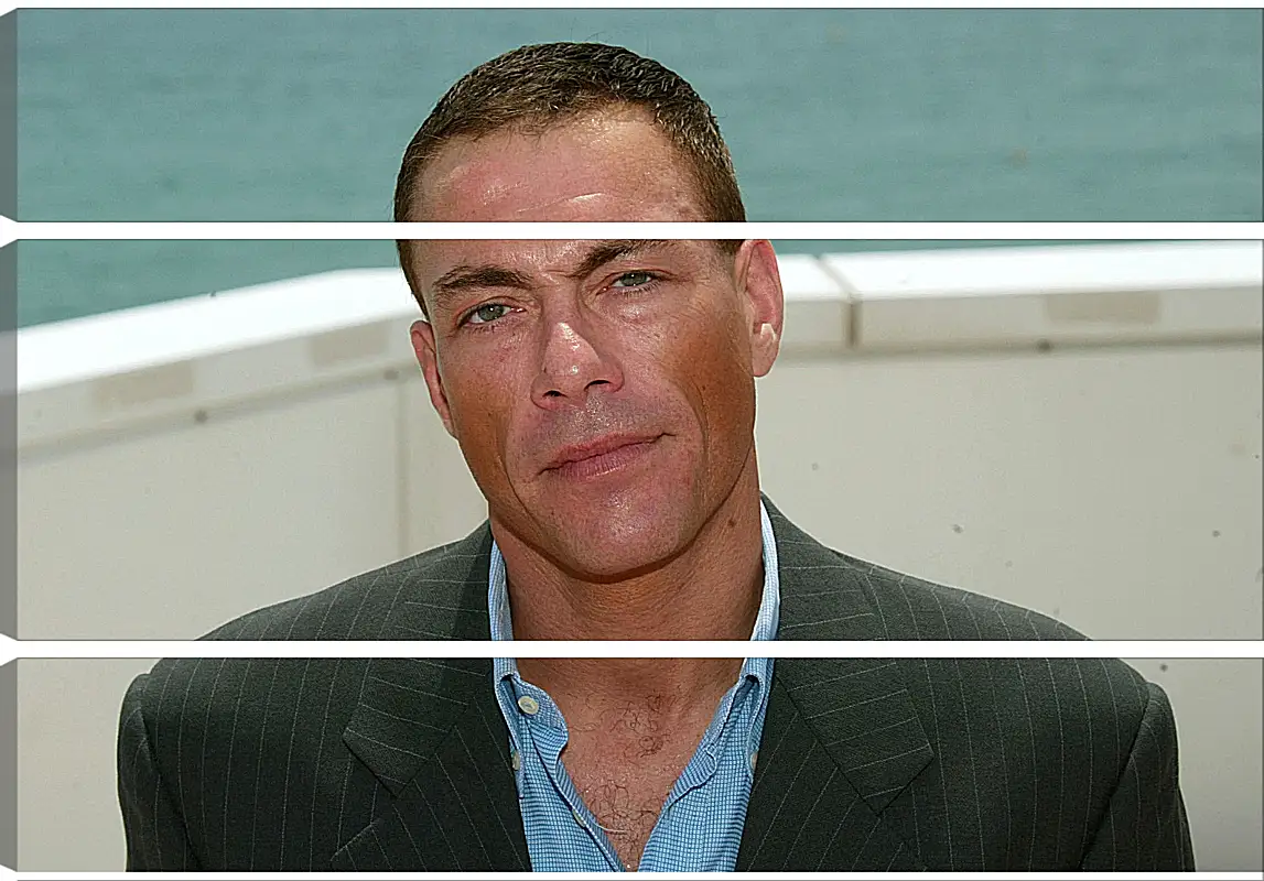 Модульная картина - Жан-Клод Ван Дамм. Jean-Claude Van Damme