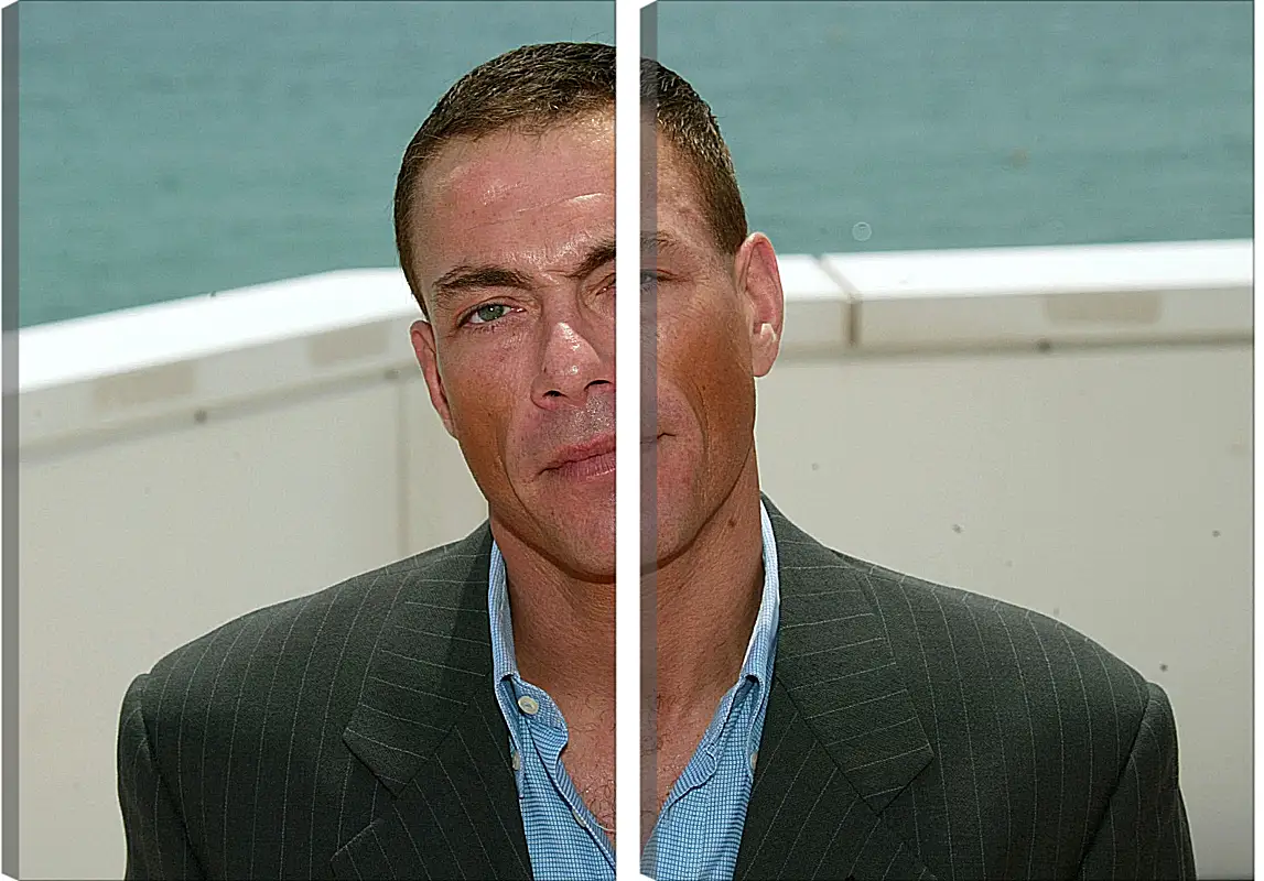 Модульная картина - Жан-Клод Ван Дамм. Jean-Claude Van Damme