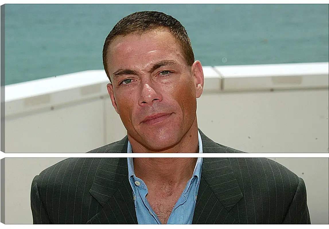 Модульная картина - Жан-Клод Ван Дамм. Jean-Claude Van Damme