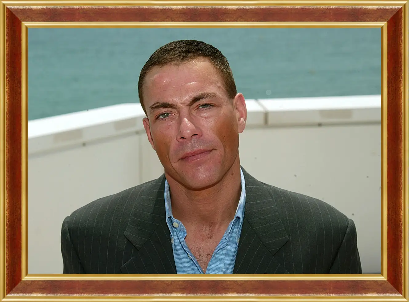 Картина в раме - Жан-Клод Ван Дамм. Jean-Claude Van Damme