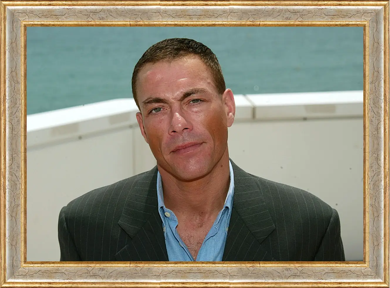 Картина в раме - Жан-Клод Ван Дамм. Jean-Claude Van Damme