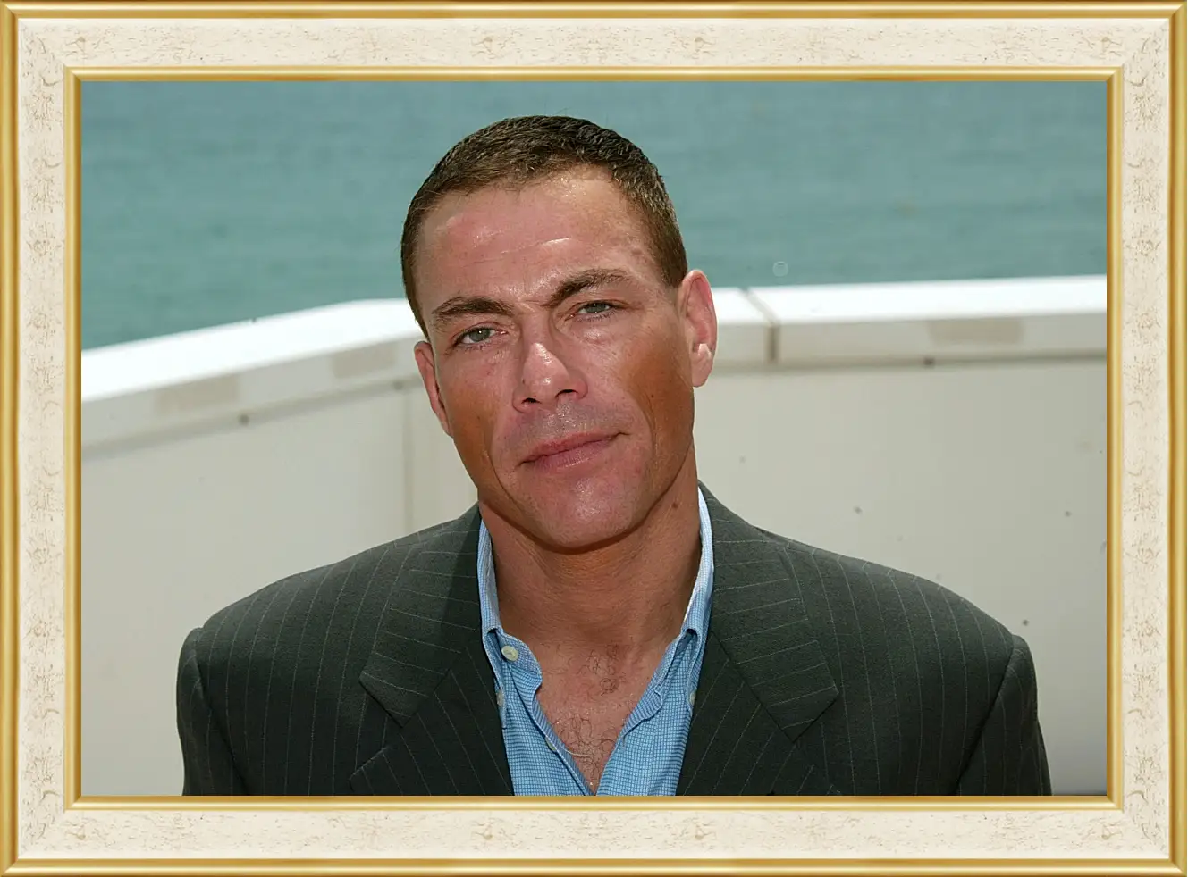 Картина в раме - Жан-Клод Ван Дамм. Jean-Claude Van Damme