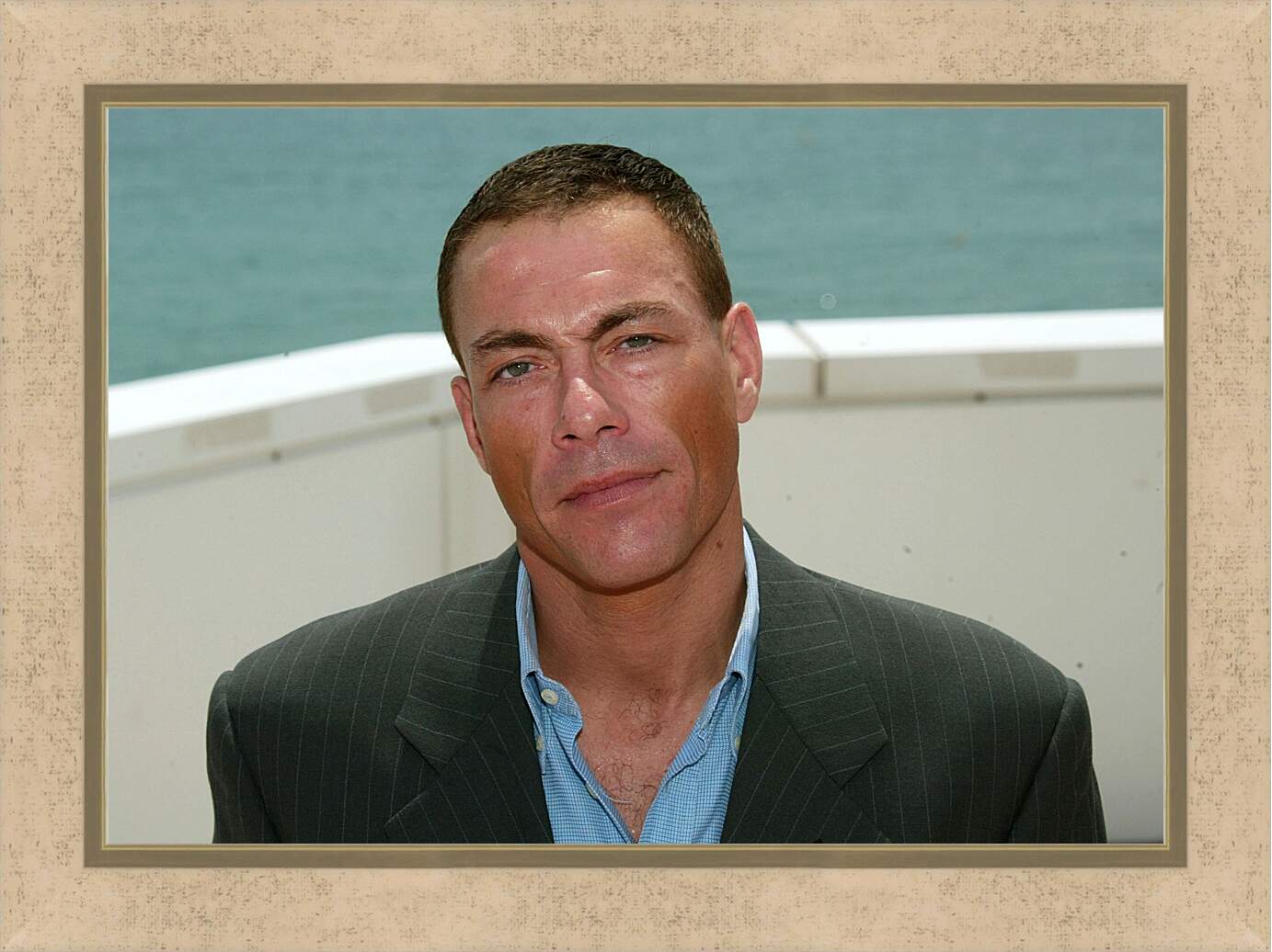 Картина в раме - Жан-Клод Ван Дамм. Jean-Claude Van Damme