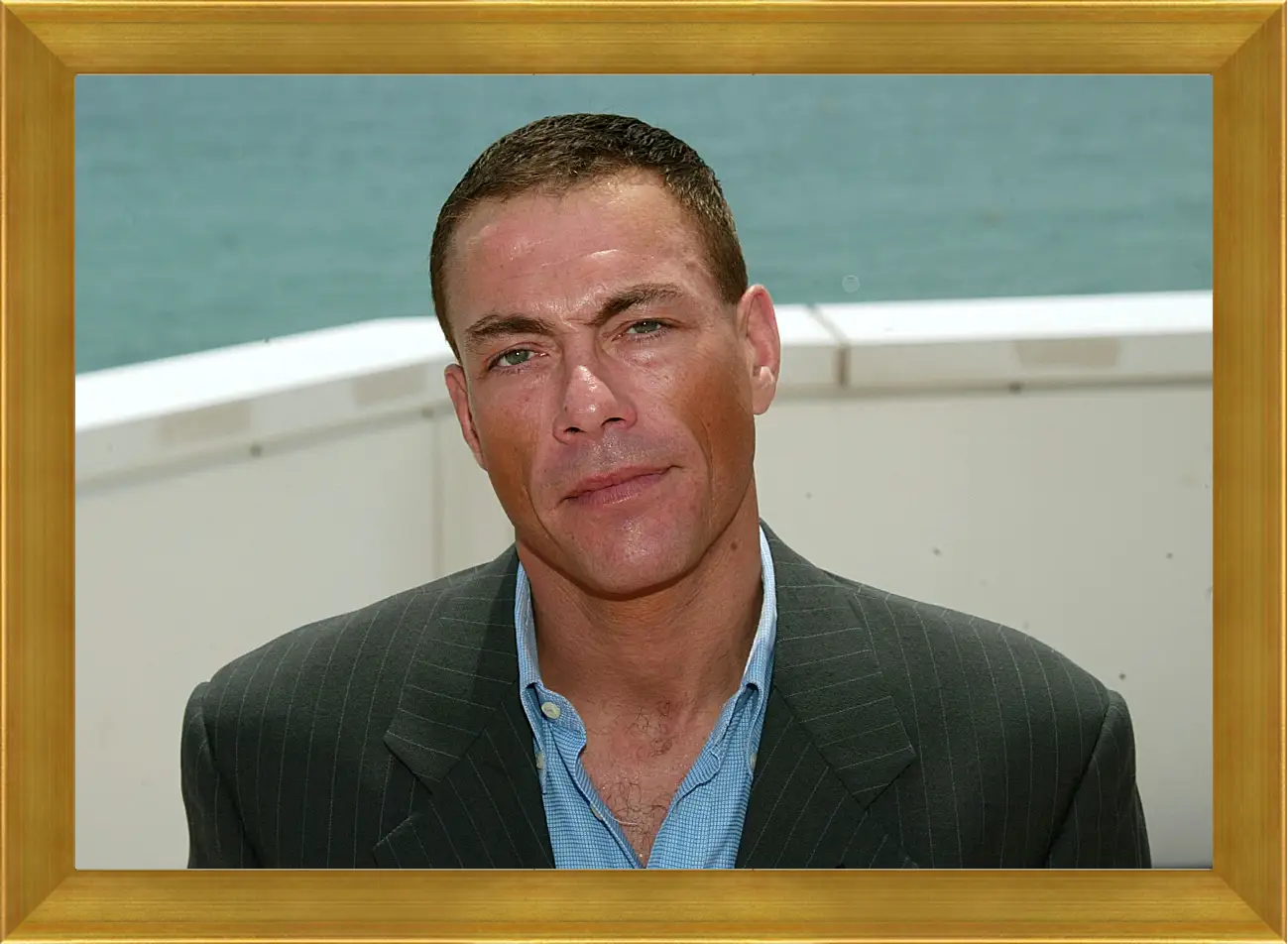 Картина в раме - Жан-Клод Ван Дамм. Jean-Claude Van Damme