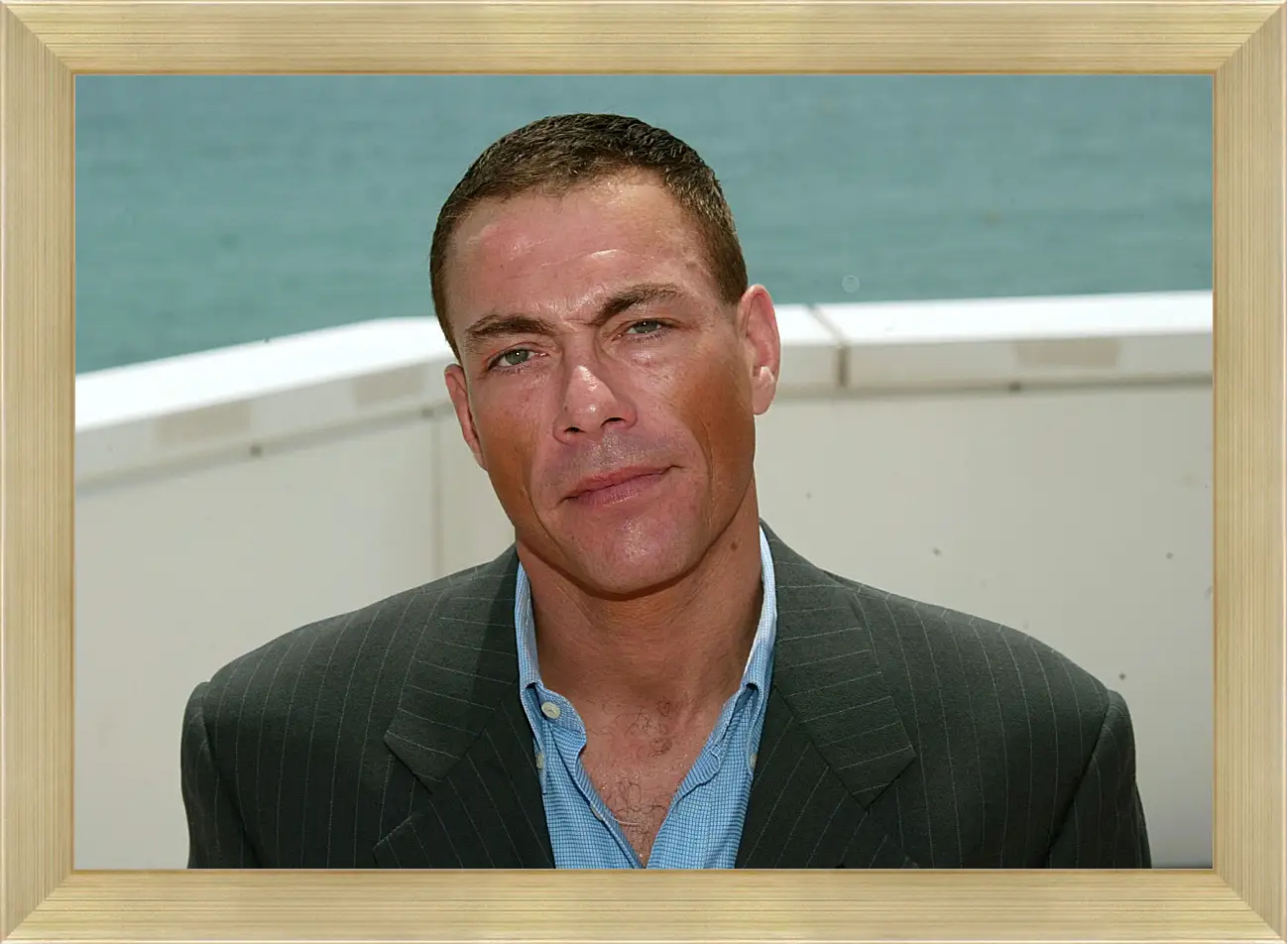 Картина в раме - Жан-Клод Ван Дамм. Jean-Claude Van Damme