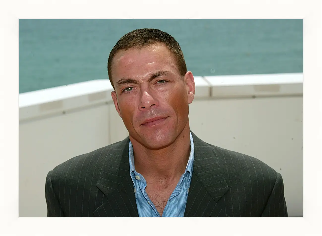 Картина в раме - Жан-Клод Ван Дамм. Jean-Claude Van Damme