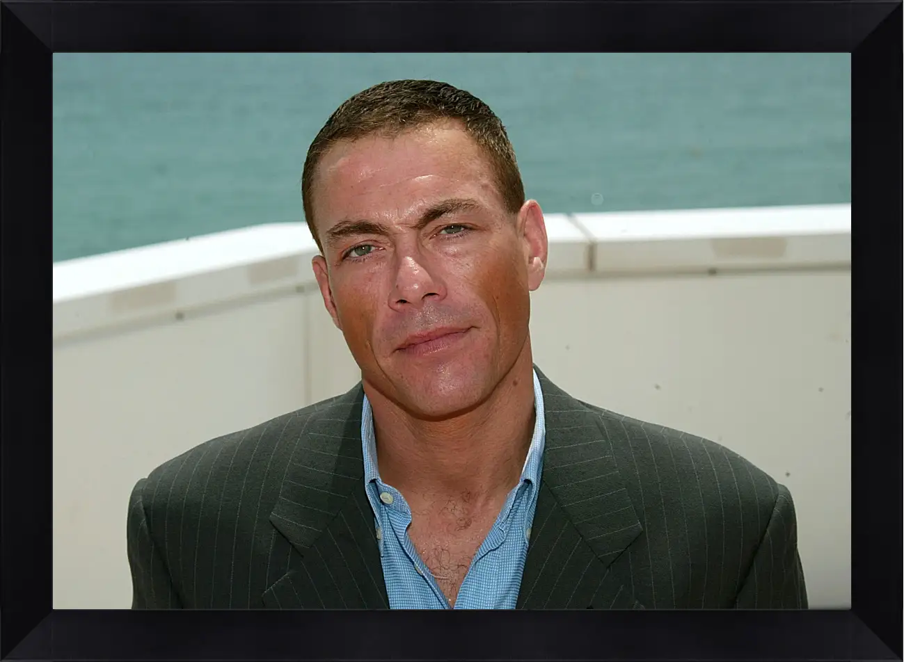 Картина в раме - Жан-Клод Ван Дамм. Jean-Claude Van Damme