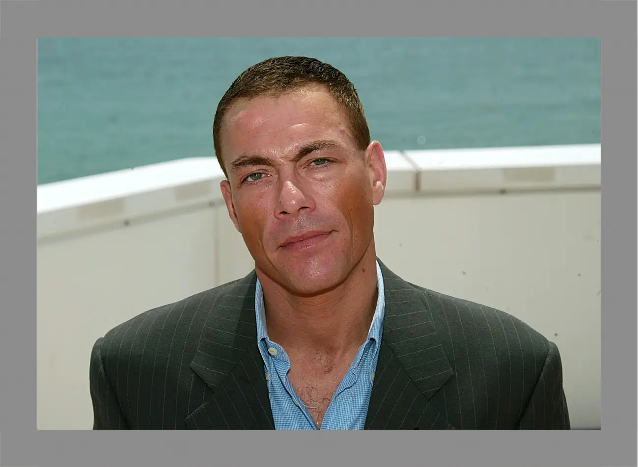 Картина в раме - Жан-Клод Ван Дамм. Jean-Claude Van Damme