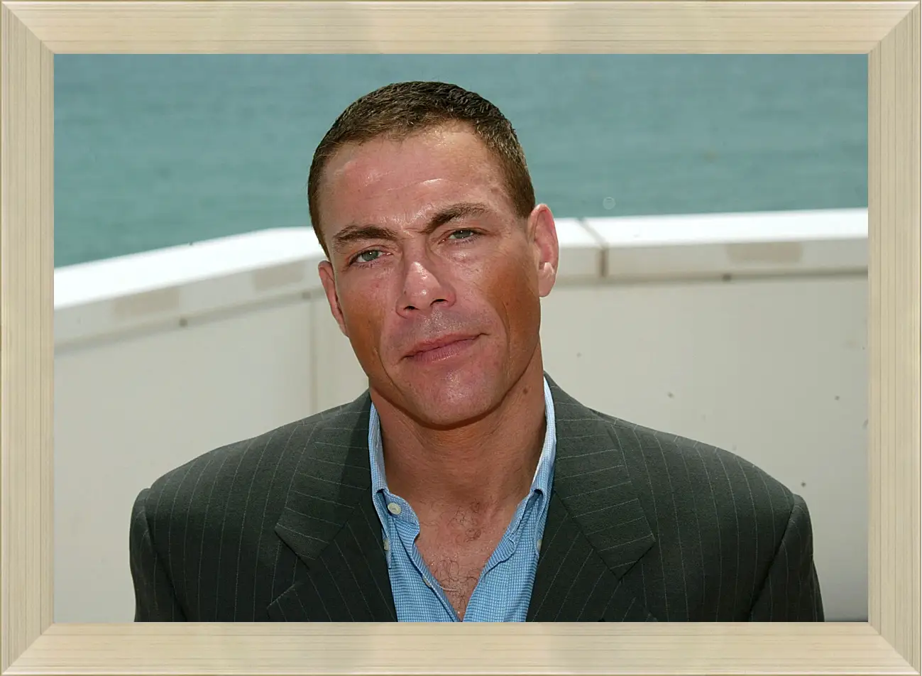 Картина в раме - Жан-Клод Ван Дамм. Jean-Claude Van Damme