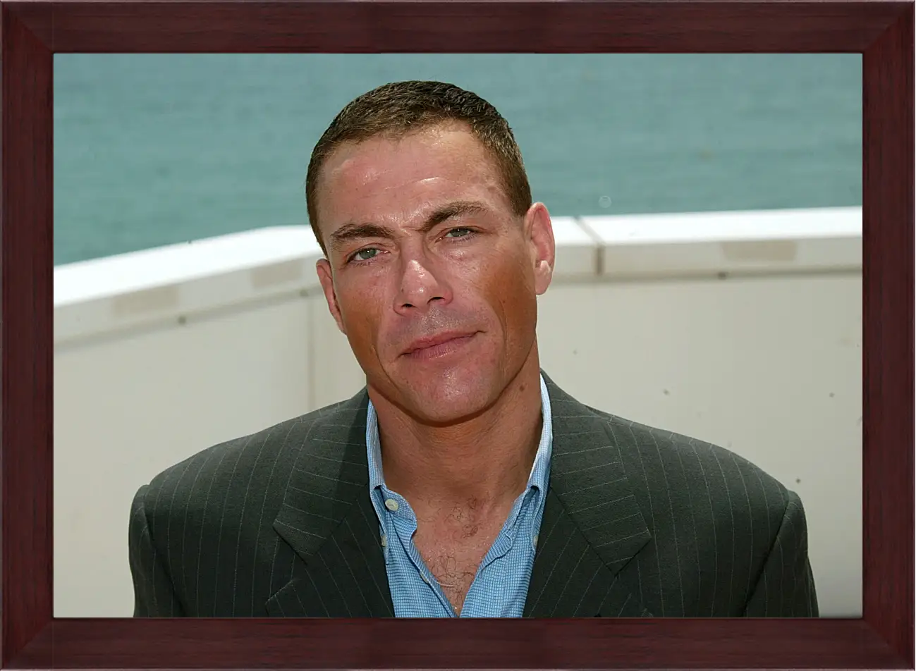 Картина в раме - Жан-Клод Ван Дамм. Jean-Claude Van Damme