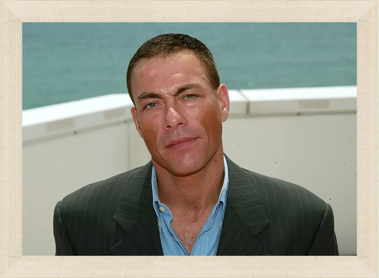 Картина в раме - Жан-Клод Ван Дамм. Jean-Claude Van Damme