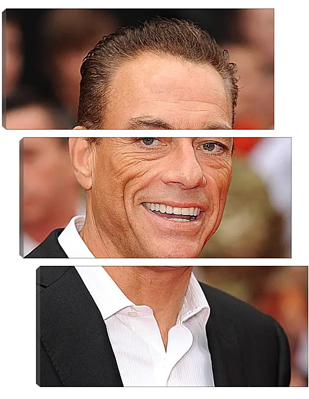 Модульная картина - Жан-Клод Ван Дамм. Jean-Claude Van Damme