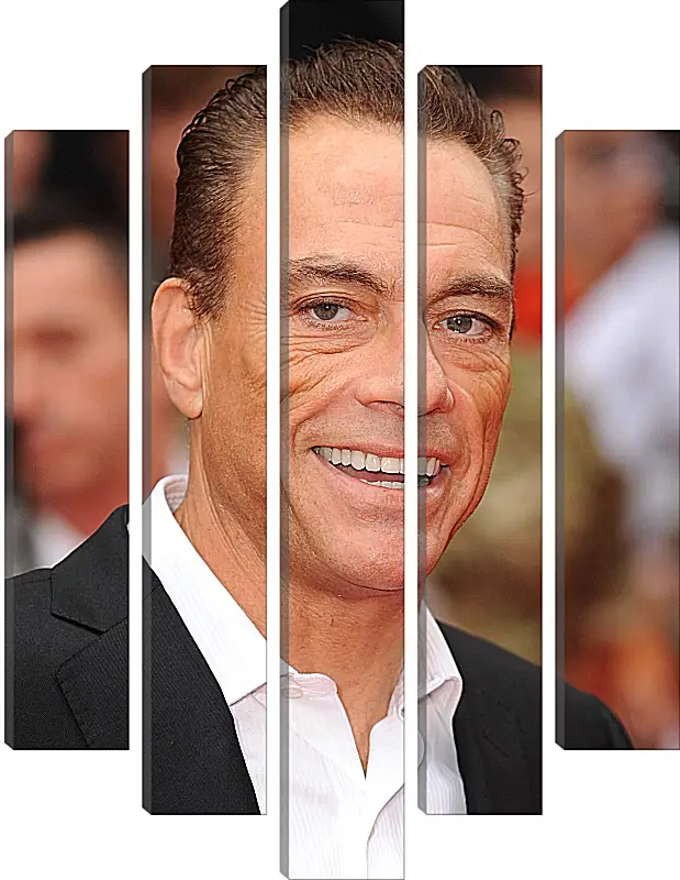 Модульная картина - Жан-Клод Ван Дамм. Jean-Claude Van Damme