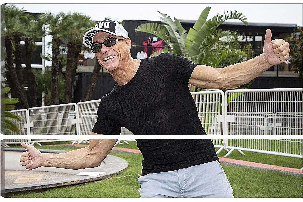 Модульная картина - Жан-Клод Ван Дамм. Jean-Claude Van Damme
