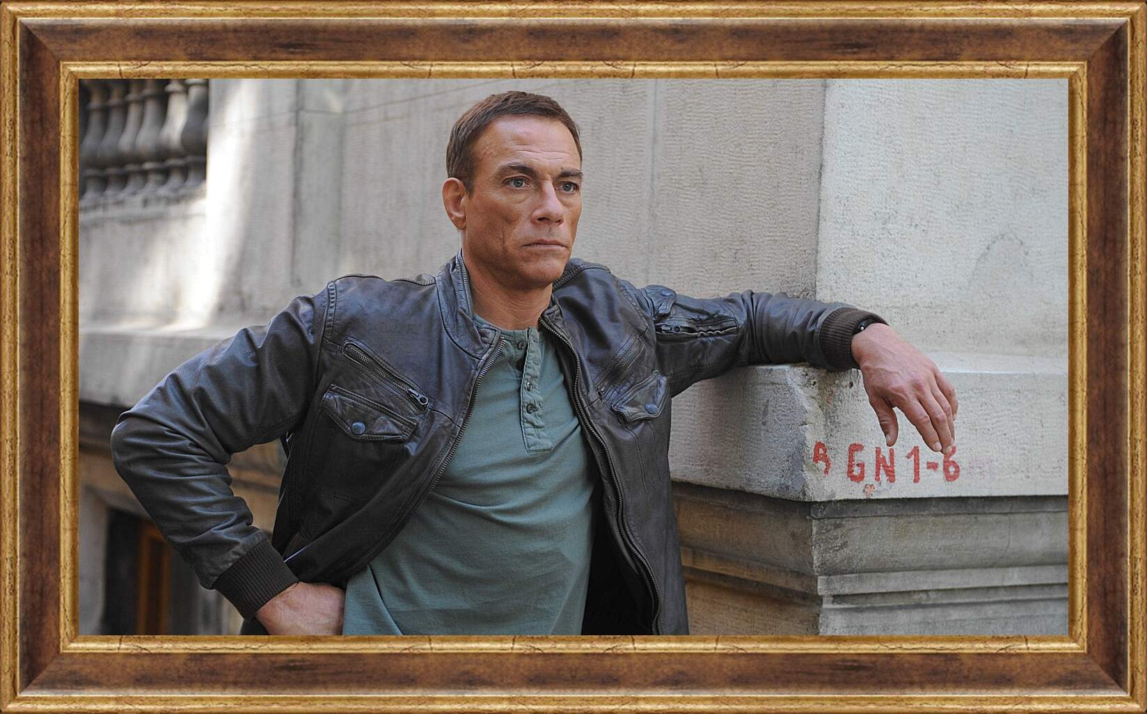 Картина в раме - Жан-Клод Ван Дамм. Jean-Claude Van Damme