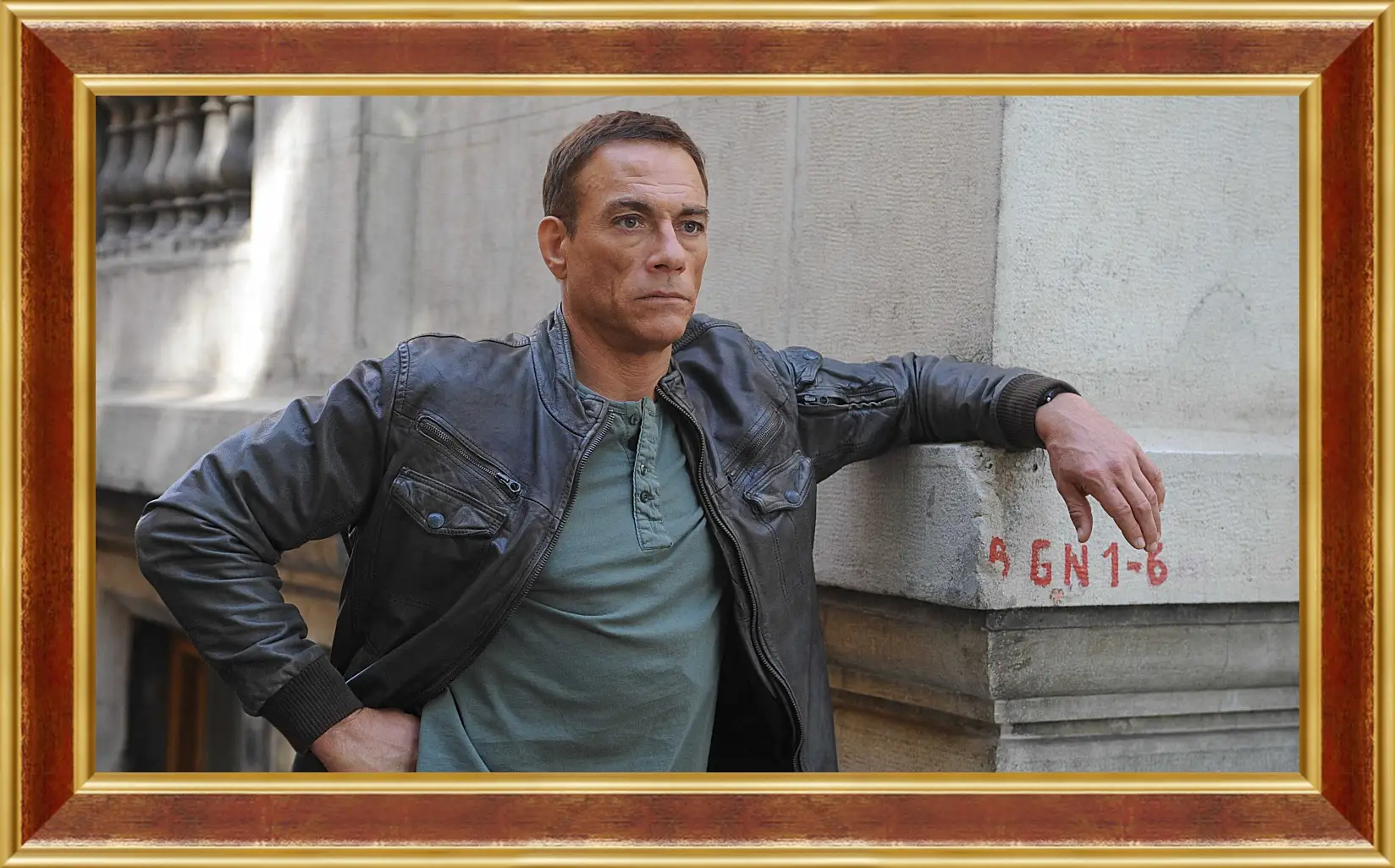 Картина в раме - Жан-Клод Ван Дамм. Jean-Claude Van Damme