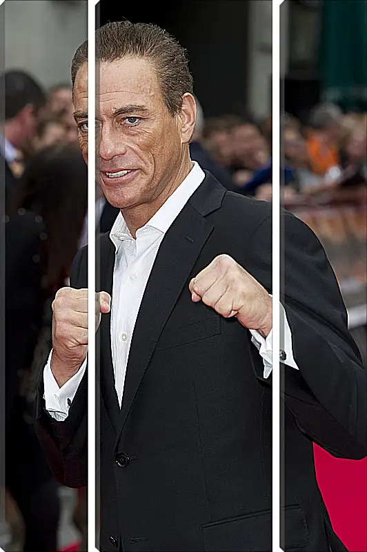 Модульная картина - Жан-Клод Ван Дамм. Jean-Claude Van Damme