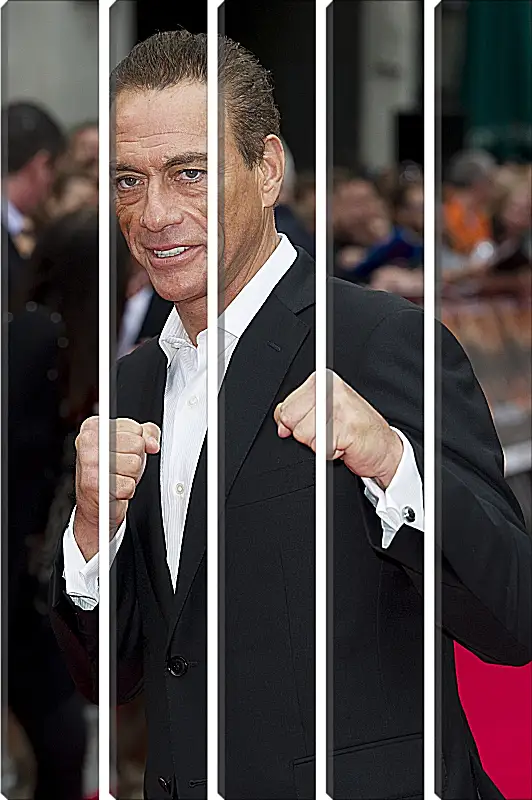 Модульная картина - Жан-Клод Ван Дамм. Jean-Claude Van Damme