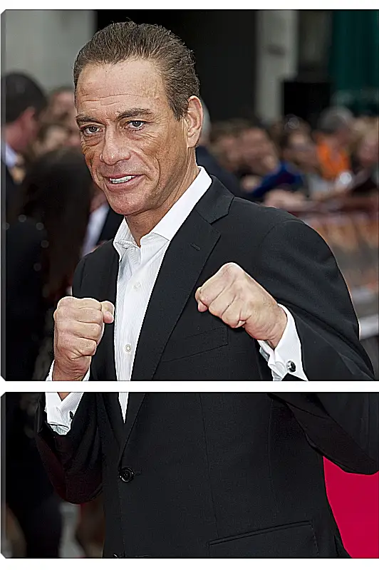 Модульная картина - Жан-Клод Ван Дамм. Jean-Claude Van Damme