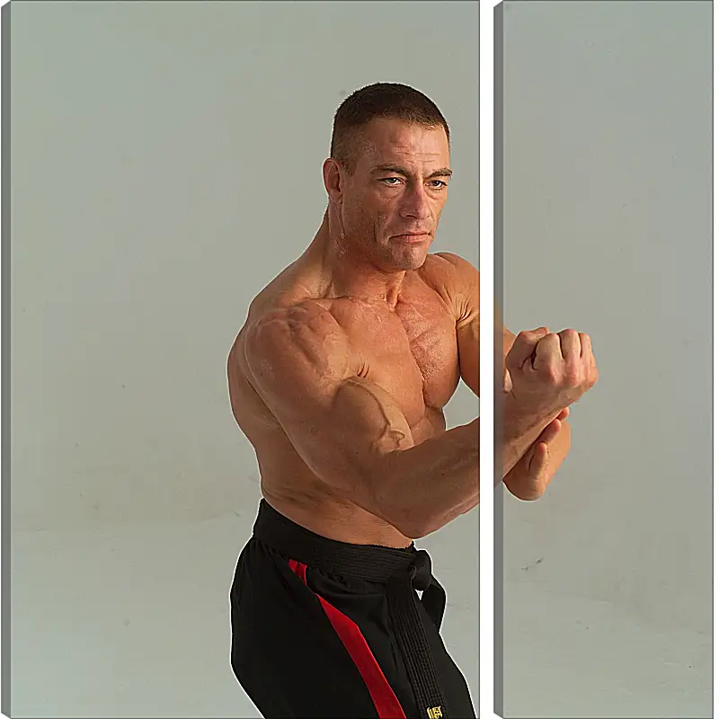 Модульная картина - Жан-Клод Ван Дамм. Jean-Claude Van Damme
