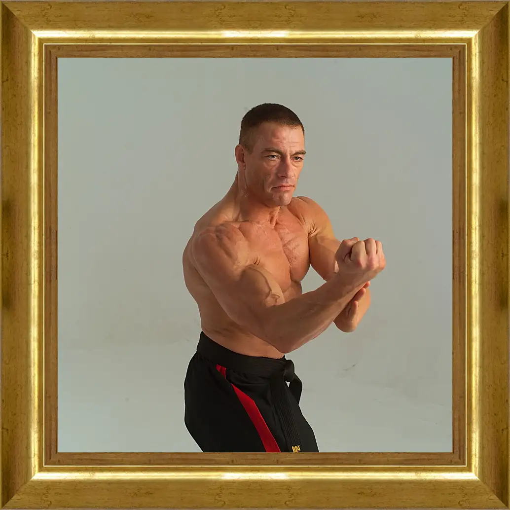 Картина в раме - Жан-Клод Ван Дамм. Jean-Claude Van Damme
