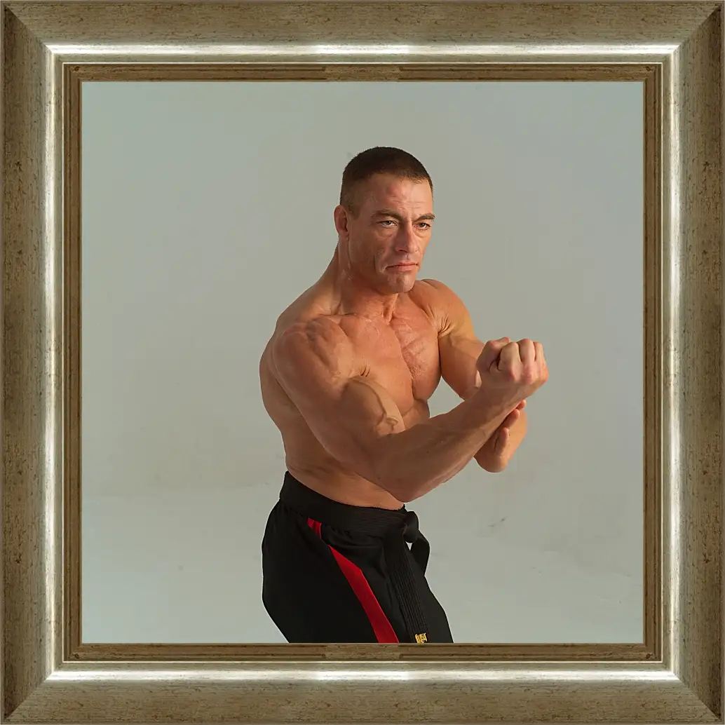 Картина в раме - Жан-Клод Ван Дамм. Jean-Claude Van Damme
