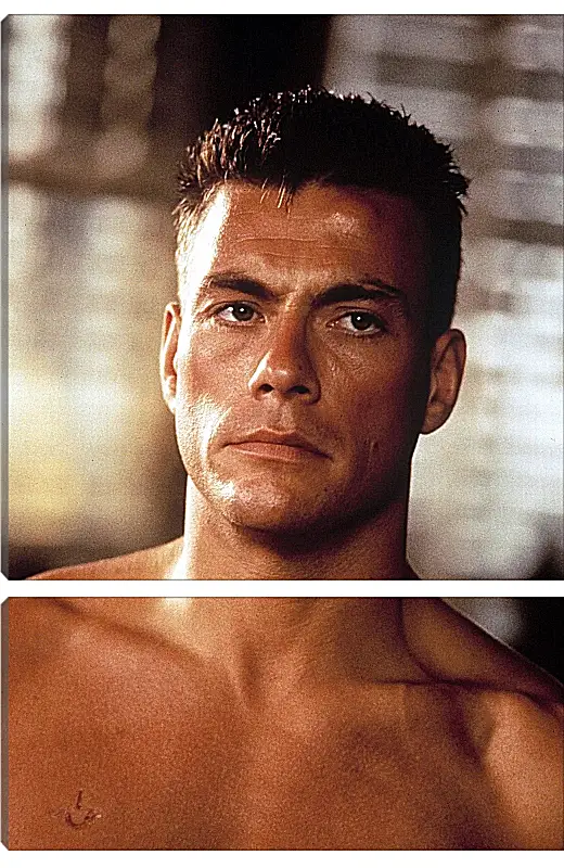 Модульная картина - Жан-Клод Ван Дамм. Jean-Claude Van Damme