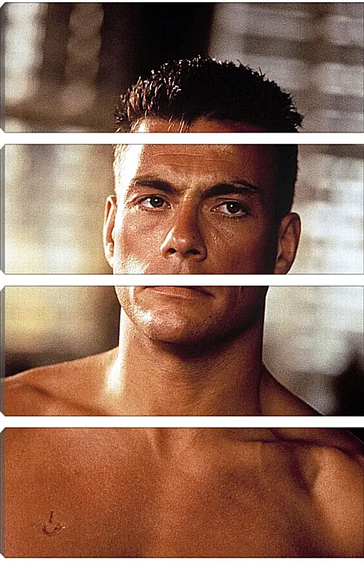 Модульная картина - Жан-Клод Ван Дамм. Jean-Claude Van Damme