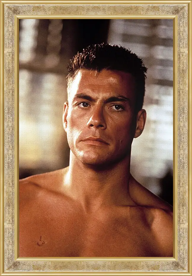 Картина в раме - Жан-Клод Ван Дамм. Jean-Claude Van Damme