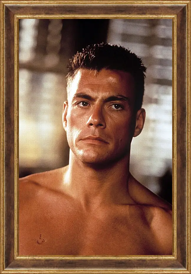 Картина в раме - Жан-Клод Ван Дамм. Jean-Claude Van Damme