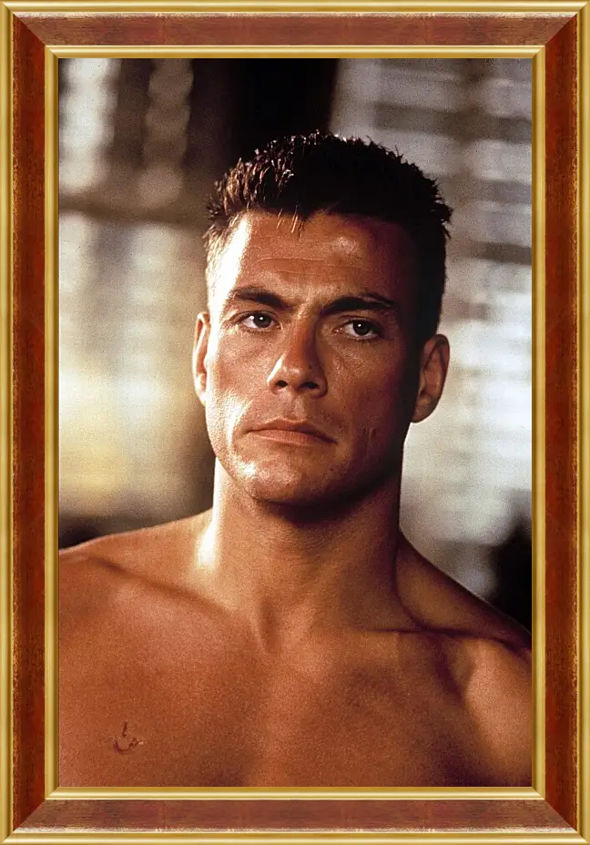 Картина в раме - Жан-Клод Ван Дамм. Jean-Claude Van Damme