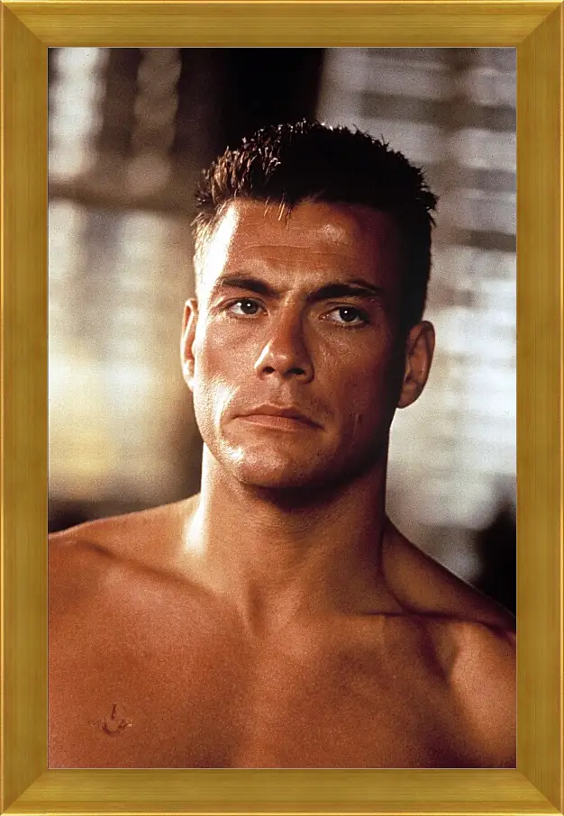 Картина в раме - Жан-Клод Ван Дамм. Jean-Claude Van Damme