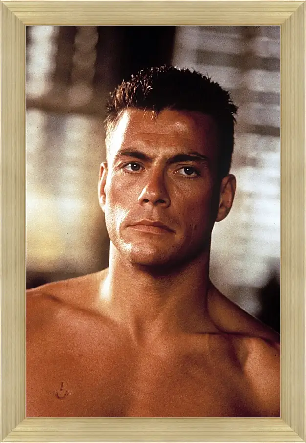 Картина в раме - Жан-Клод Ван Дамм. Jean-Claude Van Damme