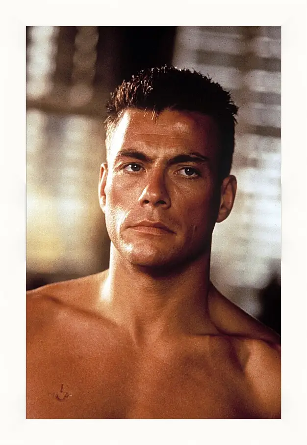 Картина в раме - Жан-Клод Ван Дамм. Jean-Claude Van Damme