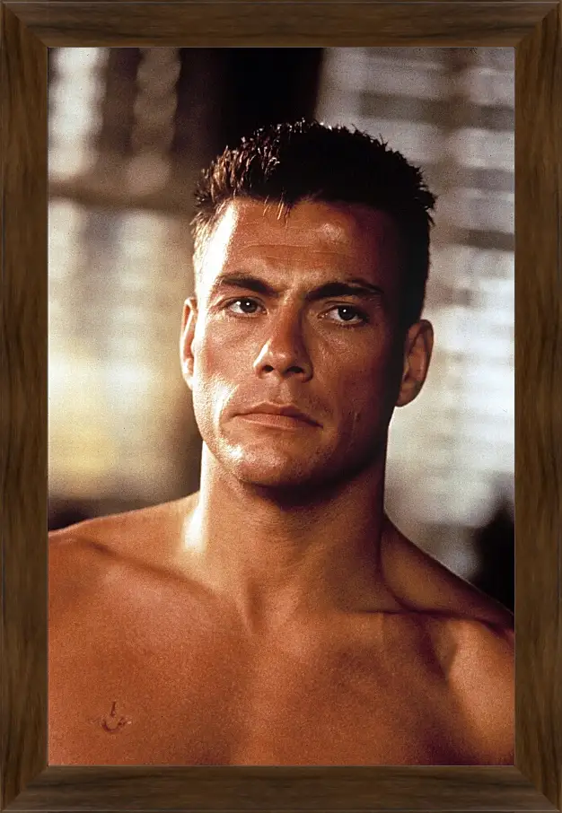 Картина в раме - Жан-Клод Ван Дамм. Jean-Claude Van Damme