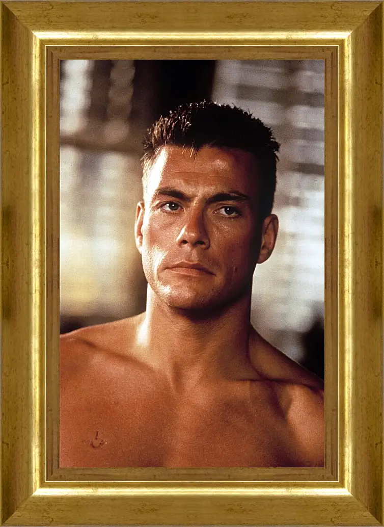 Картина в раме - Жан-Клод Ван Дамм. Jean-Claude Van Damme