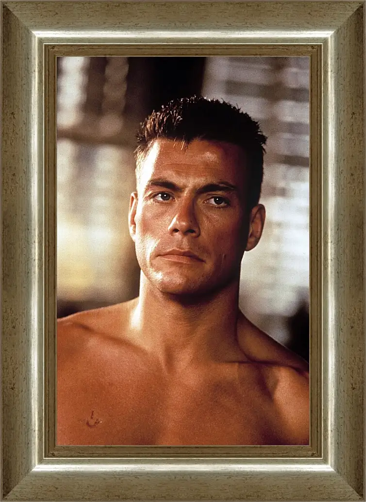 Картина в раме - Жан-Клод Ван Дамм. Jean-Claude Van Damme