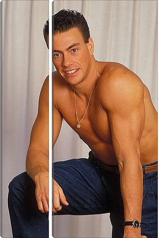 Модульная картина - Жан-Клод Ван Дамм. Jean-Claude Van Damme