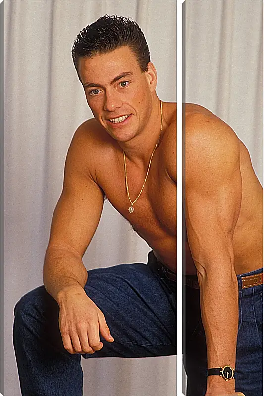 Модульная картина - Жан-Клод Ван Дамм. Jean-Claude Van Damme