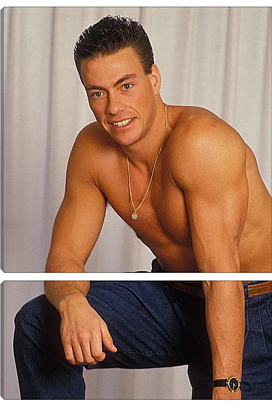 Модульная картина - Жан-Клод Ван Дамм. Jean-Claude Van Damme