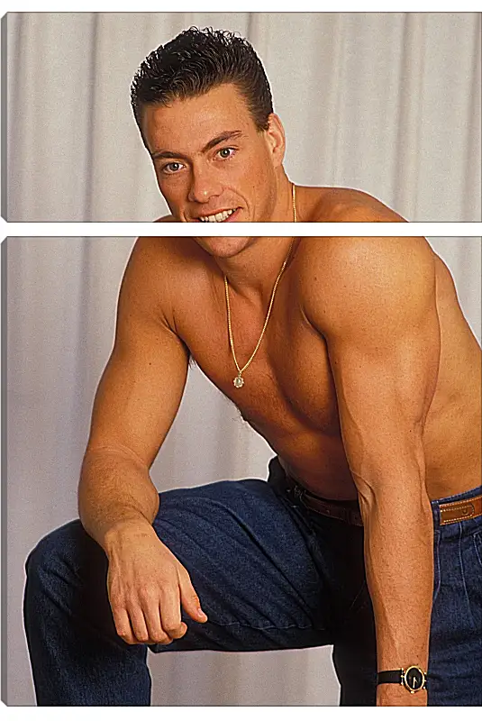 Модульная картина - Жан-Клод Ван Дамм. Jean-Claude Van Damme