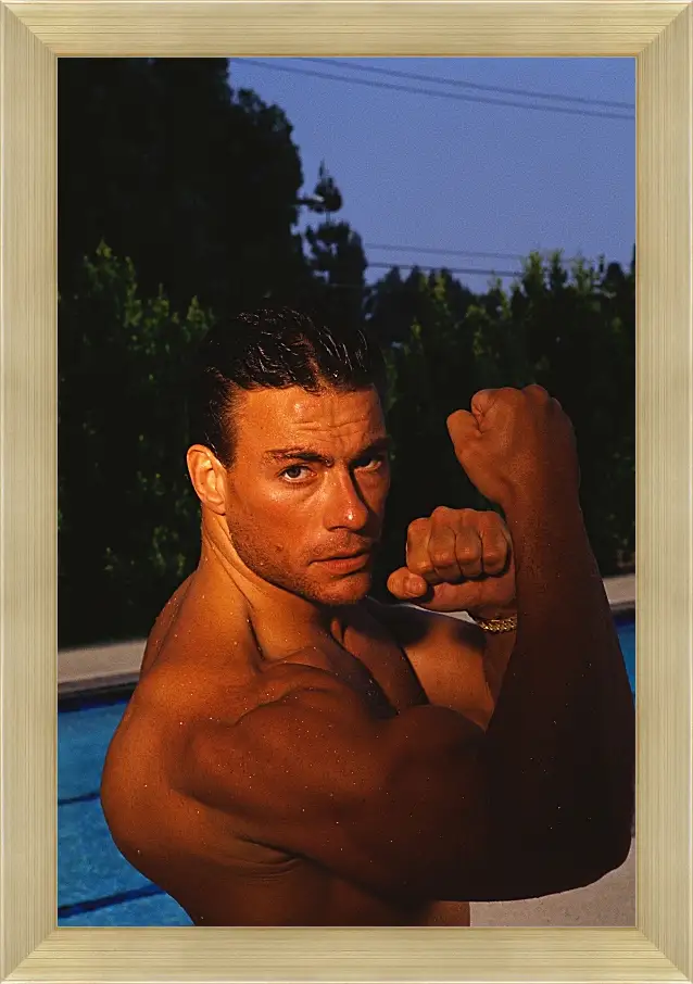 Картина в раме - Жан-Клод Ван Дамм. Jean-Claude Van Damme