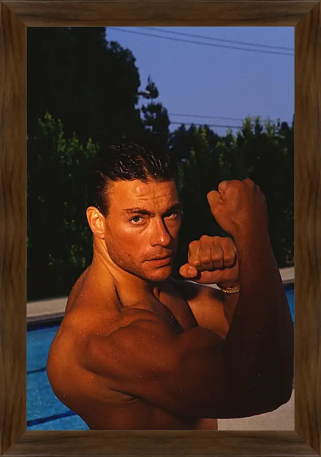 Картина в раме - Жан-Клод Ван Дамм. Jean-Claude Van Damme