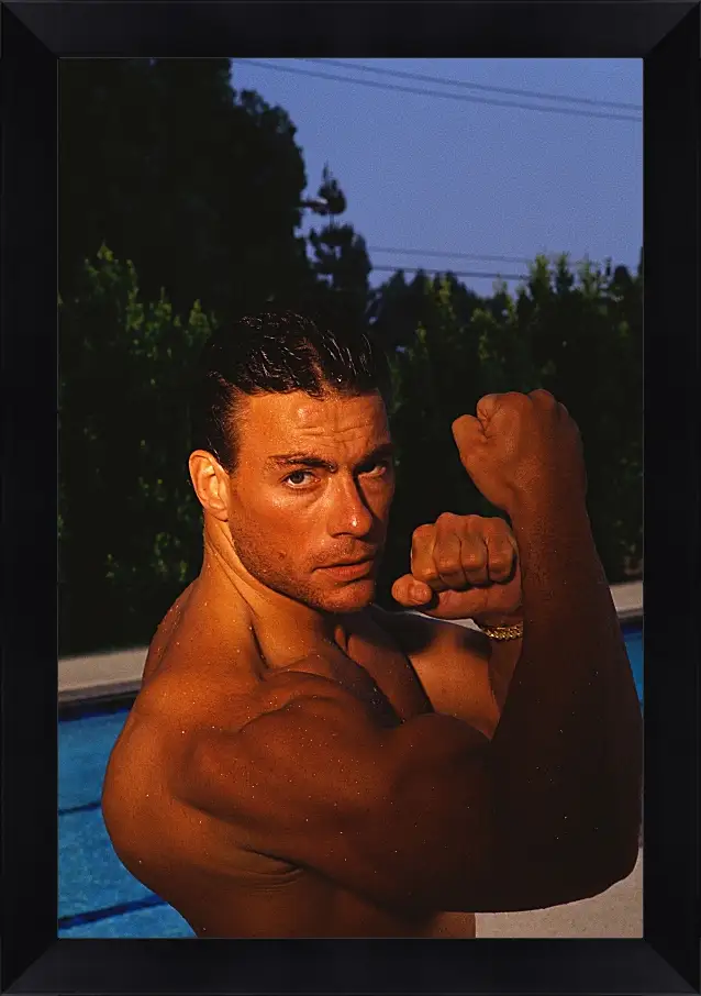 Картина в раме - Жан-Клод Ван Дамм. Jean-Claude Van Damme