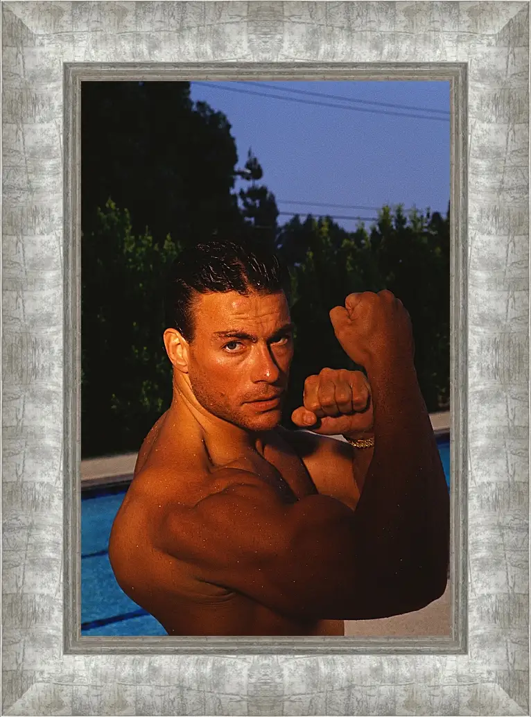 Картина в раме - Жан-Клод Ван Дамм. Jean-Claude Van Damme